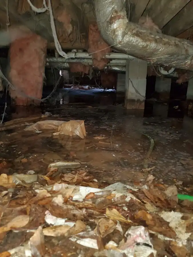 Crawl space flood assessment for Leak Detection & Repair in Woodland