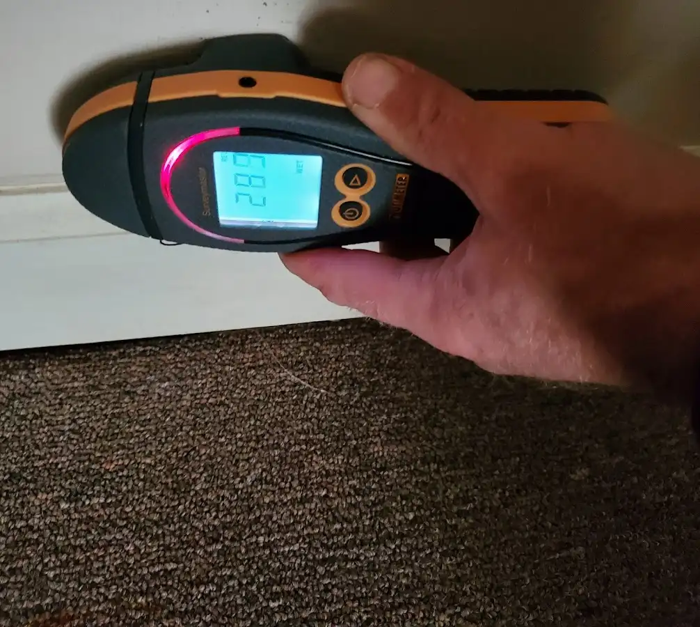 Moisture detection at baseboard during Burst Pipe Cleanup in Woodland